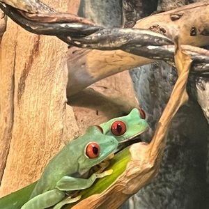 Meet your Posher, Jaime